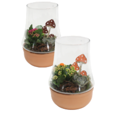 Herfstarrangementen €12,50